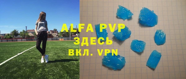 стаф Алексин