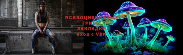 spice Алексеевка