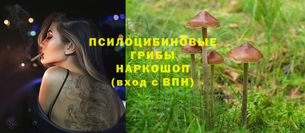 spice Алексеевка