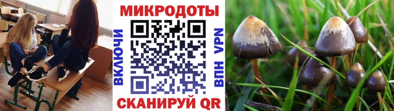 Галлюциногенные грибы GOLDEN TEACHER Новосиль